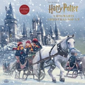 Harry Potter Hogwarts Xmas Pop-Up Advent Calendar